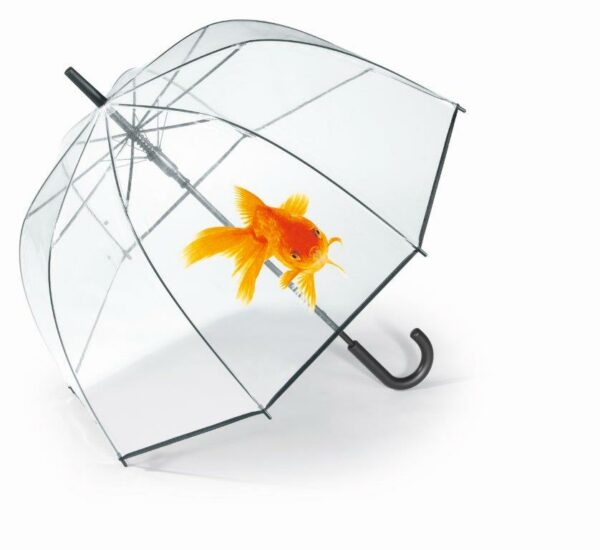 Paraguas Transparente Grande Mujer